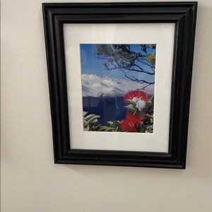 Meet your Posher, Deedee